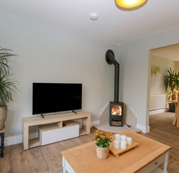 A living room with a television on a wooden stand a fireplace and plants at Birch House in Corsham
