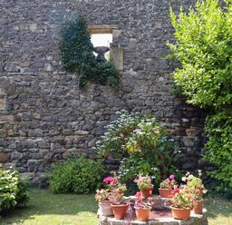 A garden with potted plants on a stone structure in front of a stone wall with ivy and bushes at Craster Tower Penthouse in Craster