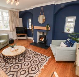 A living room with two armchairs a coffee table a patterned rug a television and a fireplace at Rosedale Lodge in Alnmouth