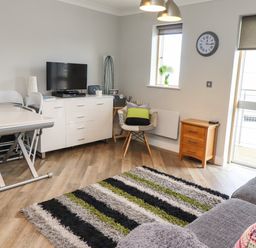 A living room with a gray sofa striped rug and a TV on a white cabinet at Puffin View in Seahouses