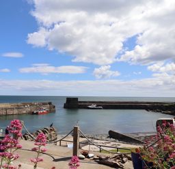 A harbor with boats and flowers at Marie's Cottage in Craster
