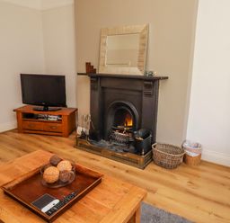 A living room with a television and a fireplace at Alnbank in Alnmouth