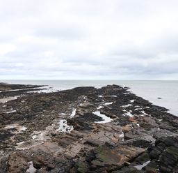 A rocky shoreline with tide pools and the sea in the background at Barnacle Cove in Beadnell