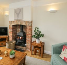 A living room with a brick fireplace wood stove television wooden tables plants and a green sofa with a floral cushion at 2 Church Street in Chipping Norton