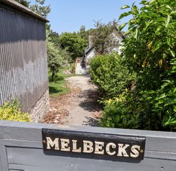 A gravel path leading to a white house with bushes and trees on both sides at Melbecks in Abergele