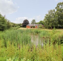 A pond with tall grass surrounded by trees and shrubs with a brick building in the background at The Brambles in Polstead