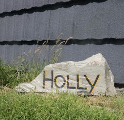 A rock with 'HOLLY' painted on it in an outdoor area at Holly in Ulverston