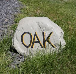 A painted rock with the word OAK on grass near gravel at Oak in Ulverston