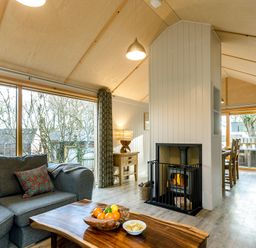 A living room with a sofa and fireplace at Lodge 16 Corfe Castle