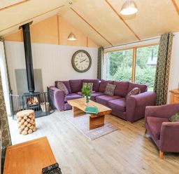 A living room with purple sofa and armchair wood burning stove wooden coffee table and large window at Lodge 21 in Corfe Castle
