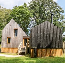A wooden cabin with two connected sections and stairs in front surrounded by trees at Lodge 22 in Corfe Castle