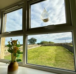 A window with a vase of flowers on the windowsill and a grassy yard with stone walls outside at Garden Cottage in Alnmouth