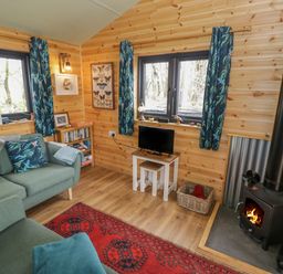 A wooden living room with a green sofa a red rug a small TV a wood-burning stove and blue patterned curtains at Kingfisher in Dunchurch