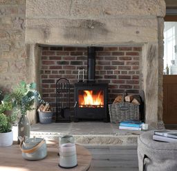 A living room with a wood-burning stove fireplace and plants on a table at Ash Cottage in Lucker near Warenford