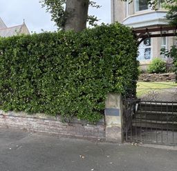 A garden with a hedge and a gate at The Furness Haven in Barrow-In-Furness