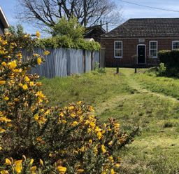 A grassy path leading to a brick house with a dark door and white windows behind a metal fence and flowering yellow bushes in a garden at Ebenezer Chapel in Knodishall nr Saxmundham