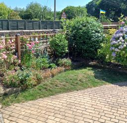 A garden with flowers bushes and a paved pathway at Woodbine Cottage in Mylor Bridge Nr Falmouth