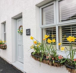 A white cottage exterior with a door and windows with flower boxes containing yellow daffodils at The Anvil in Broughton-In-Furness