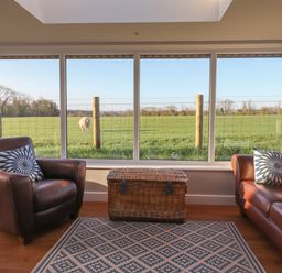 A room with two leather chairs a woven chest and a large window overlooking a field with a sheep at Farnelea West Fleetham near Seahouses