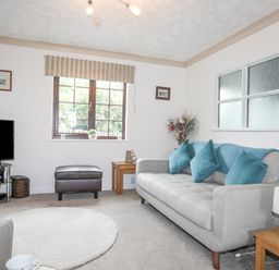 A living room with a gray sofa and blue cushions a television and a window at Cae Ffynnon Star near Gaerwen