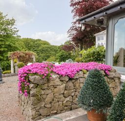 A stone planter with pink flowers outside a house with a window and potted plants at Valley View in Dalton-In-Furness
