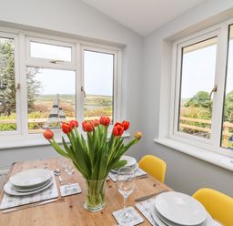 A dining table with yellow chairs red tulips in a vase and table settings in a room with windows showing outdoor view at Bryn Alaw in Newport Pembrokeshire