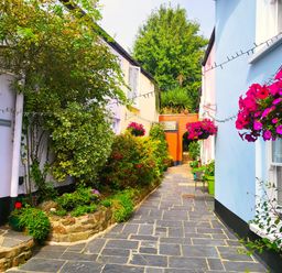 A narrow stone path between colorful houses with plants and hanging flower baskets at Mulberry Tree in Appledore