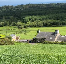 A stone house with a slate roof surrounded by green fields and trees in a rural landscape at Caban Cwtch The Cosy Cabin in Llanaelhaearn