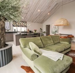 A living area with a green sofa a large potted tree and kitchen area in the background at Garden House in Llanfechell