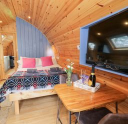 A wooden interior room with a bed table chairs and a large TV at Conwy Pod in Capel Garmon near Betws-Y-Coed