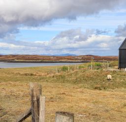 A grassy field with a fenced area near a body of water and hills in the background with a small black building on the right and a sheep grazing near it at North Light Studio in Locheport near Lochmaddy North Uist