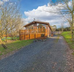 A gravel driveway leading to a wooden cabin surrounded by leafless trees and grass at Fern Lodge in Allithwaite near Cartmel