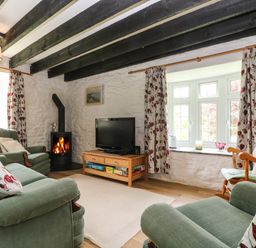 A living room with green armchairs a wood burning stove and a television by a window at Byre in Trethin near Camelford