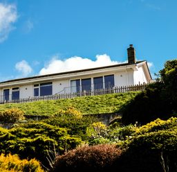 A white house with large glass windows on a grassy hill surrounded by bushes at Harbour Lights Port Isaac