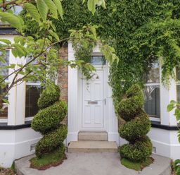 A front door with spiral shaped bushes on each side and climbing plants around an entrance at Hillcroft in St Austell