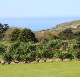 A grassy lawn with a stone wall and bushes with trees and hills in the background overlooking the sea at Greenside Studio in Praa Sands