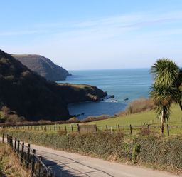 A coastal landscape with a road, fenced green fields, trees, and ocean cliffs at Chalet Log Cabin L2 in Combe Martin