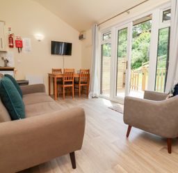 A living room with sofa chairs dining table and a wall mounted television at Chalet Log Cabin L6 in Combe Martin
