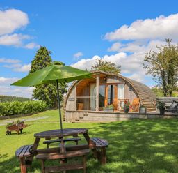 A wooden pod with a deck and chairs and a picnic table with a green umbrella on grass at Pine Lodge in Llanddeusant near Llandovery