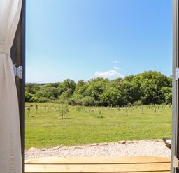 A view of a green field with small trees and a forest in the background seen through an open doorway with white curtains at Little Pip in Gulval