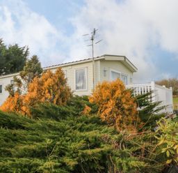 A mobile home with an antenna surrounded by green and orange shrubs at Park Lane in Llanteg near Kilgetty