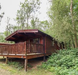A wooden cabin with a porch in a forested area at The Great Escape in Kenwick near Louth