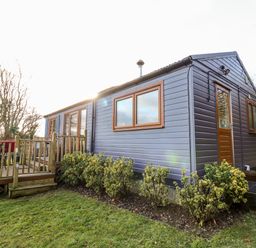 A small wooden cabin with a deck and bushes surrounding it at Y Caban Glas in Rhydlewis near Brynhoffnant