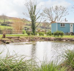 A small pond with grass and plants around it a blue shepherds hut with a door window and chairs nearby and a fence with hills in the background at Gwithian Shepherds Hut in Angarrack near Hayle