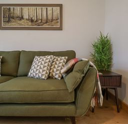 A green sofa with patterned pillows and a throw blanket next to a wooden side table with a plant on it at 23 Church Farm Lane in Halesworth
