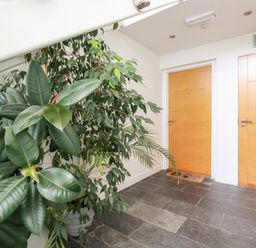 A hallway with two wooden doors and large green leafy plants in white pots Pebbles Downderry