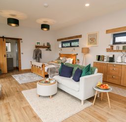 A studio room with a bed sofa and kitchenette at Tin Shed in Nantmel near Rhayader