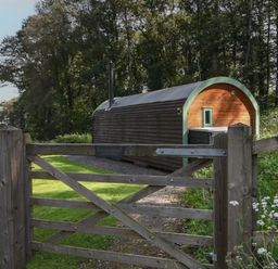 A wooden gate leading to a pod cabin surrounded by grass and trees at Pendragon Pod in Axminster