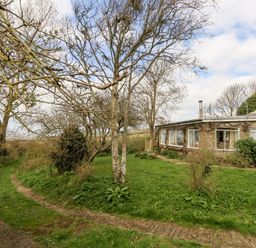 A gravel driveway beside a stone house with large windows and leafless trees on a grassy area at Eweleaze in West Bexington