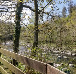 A river flowing beside a fence with trees at Beech Timber Lodge in Keswick